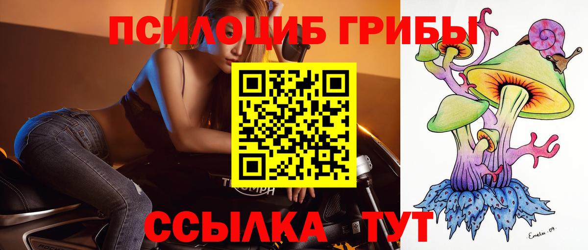 Псилоцибиновые грибы прущие грибы  Галлюциногенные грибы Magic Shrooms  Вход с VPN  Раменское 