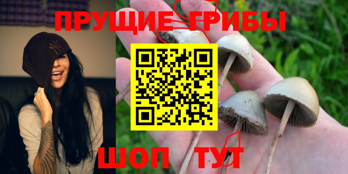 Псилоцибиновые грибы Magic Shrooms Раменское